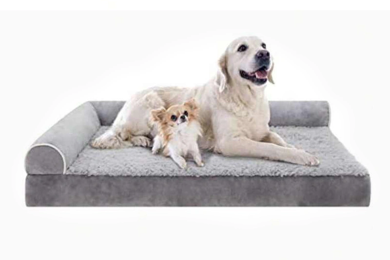 Does Your Dog Need a Foam Pet Bed？