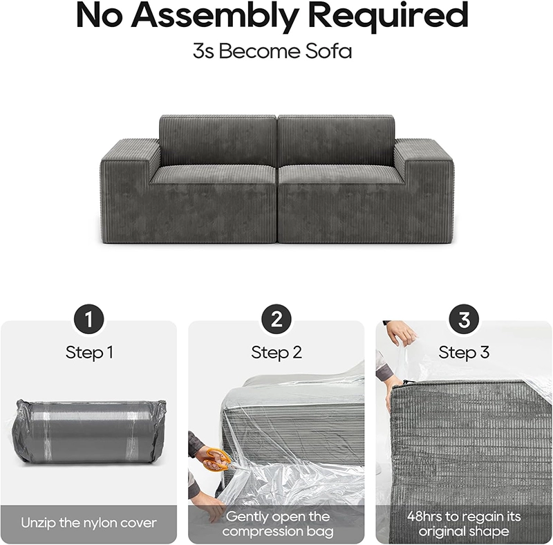 2-Seater Minimalist Modular Foam Compression Sofa