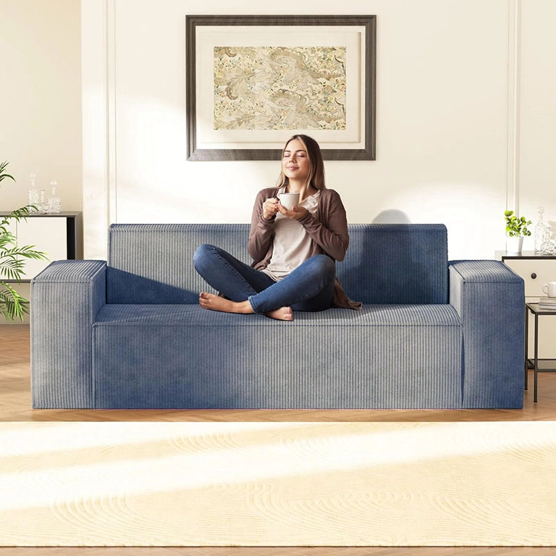 Full-foam Compressed Sofa for Apartment and Small Space