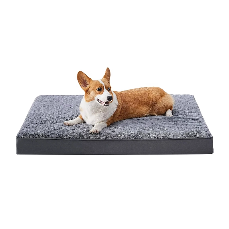 High Density Foam Pet Bed & Mats For Dogs & Cats