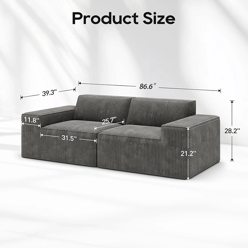 2-Seater Minimalist Modular Foam Compression Sofa