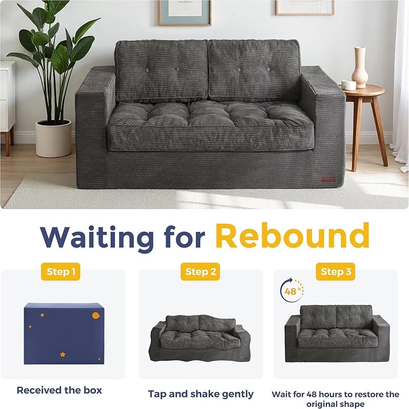 Loveseat Boneless Couch with Tufted Cushion & Backrest